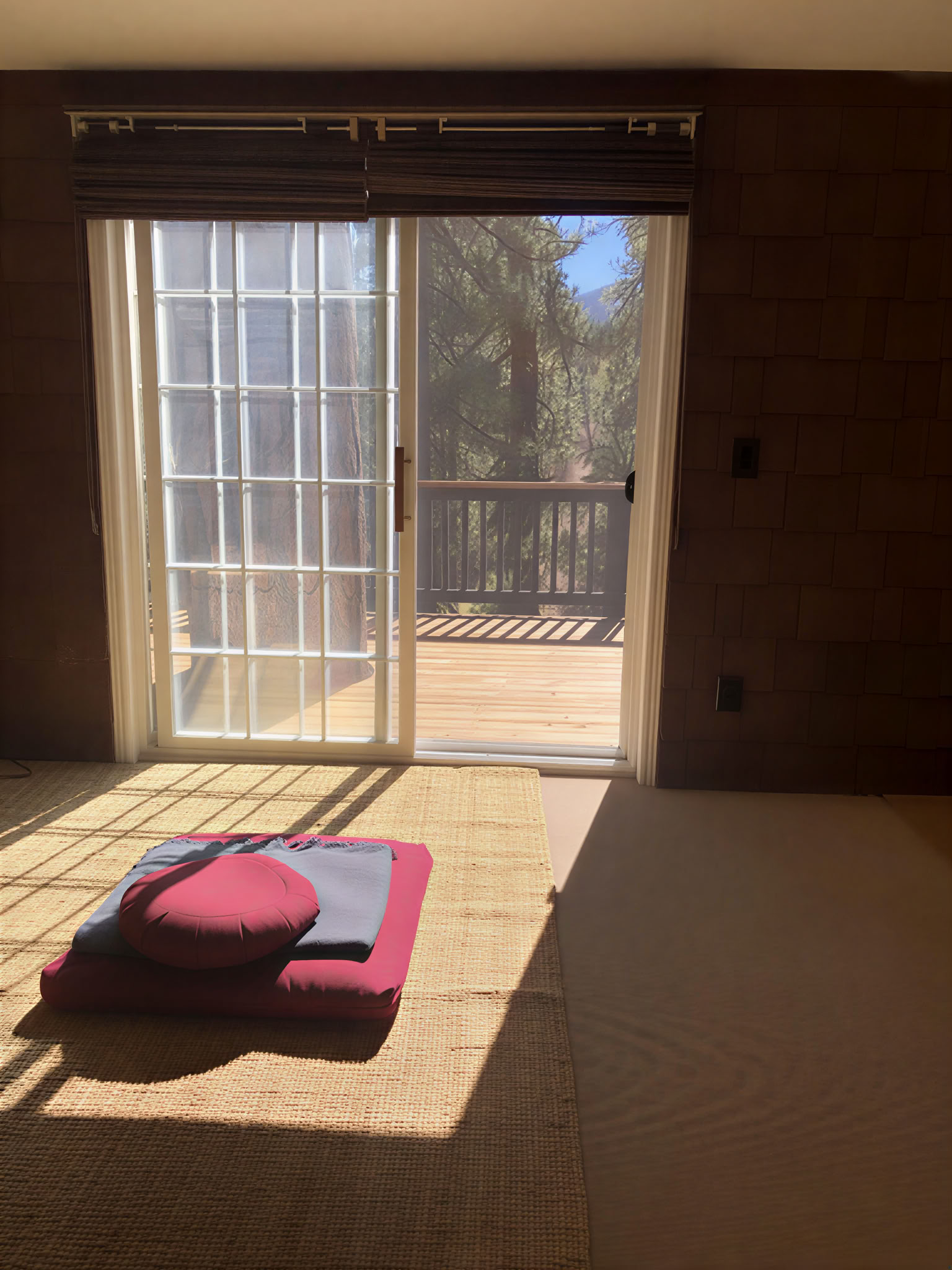The Original Body Scan: Discovering Freedom within the Body