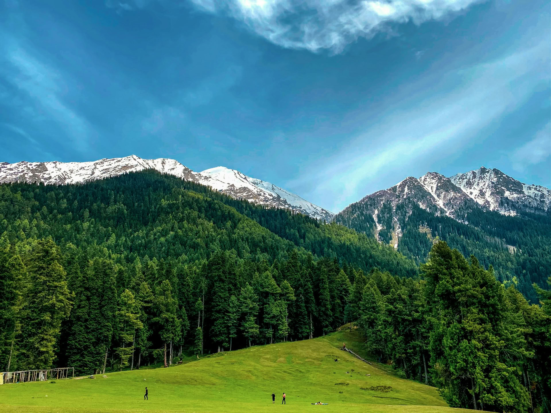 Dal Dreams & Mountain Days: Une expérience signature au Cachemire