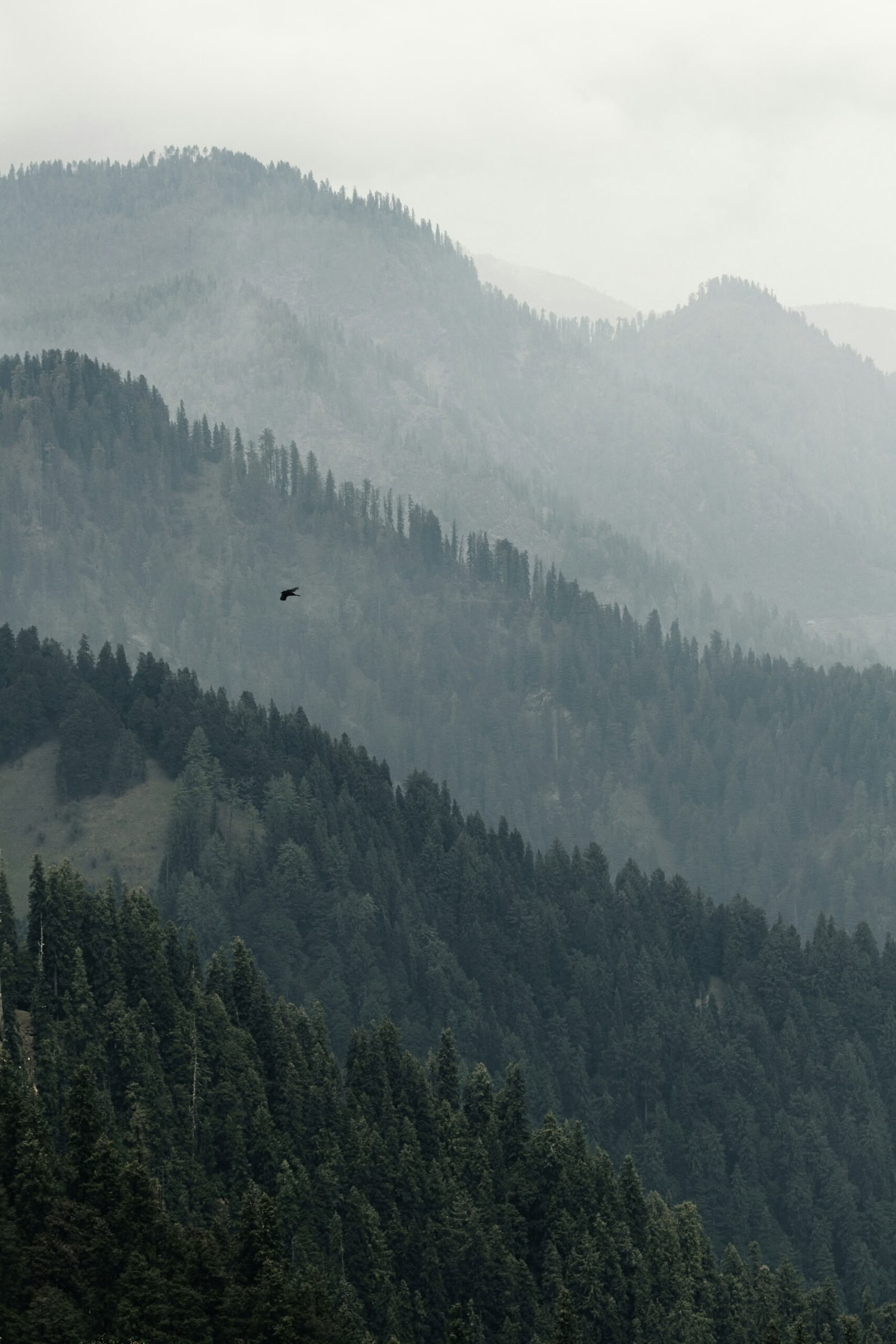 Camp, grimper et se connecter – Un voyage familial dans l’Himalaya
