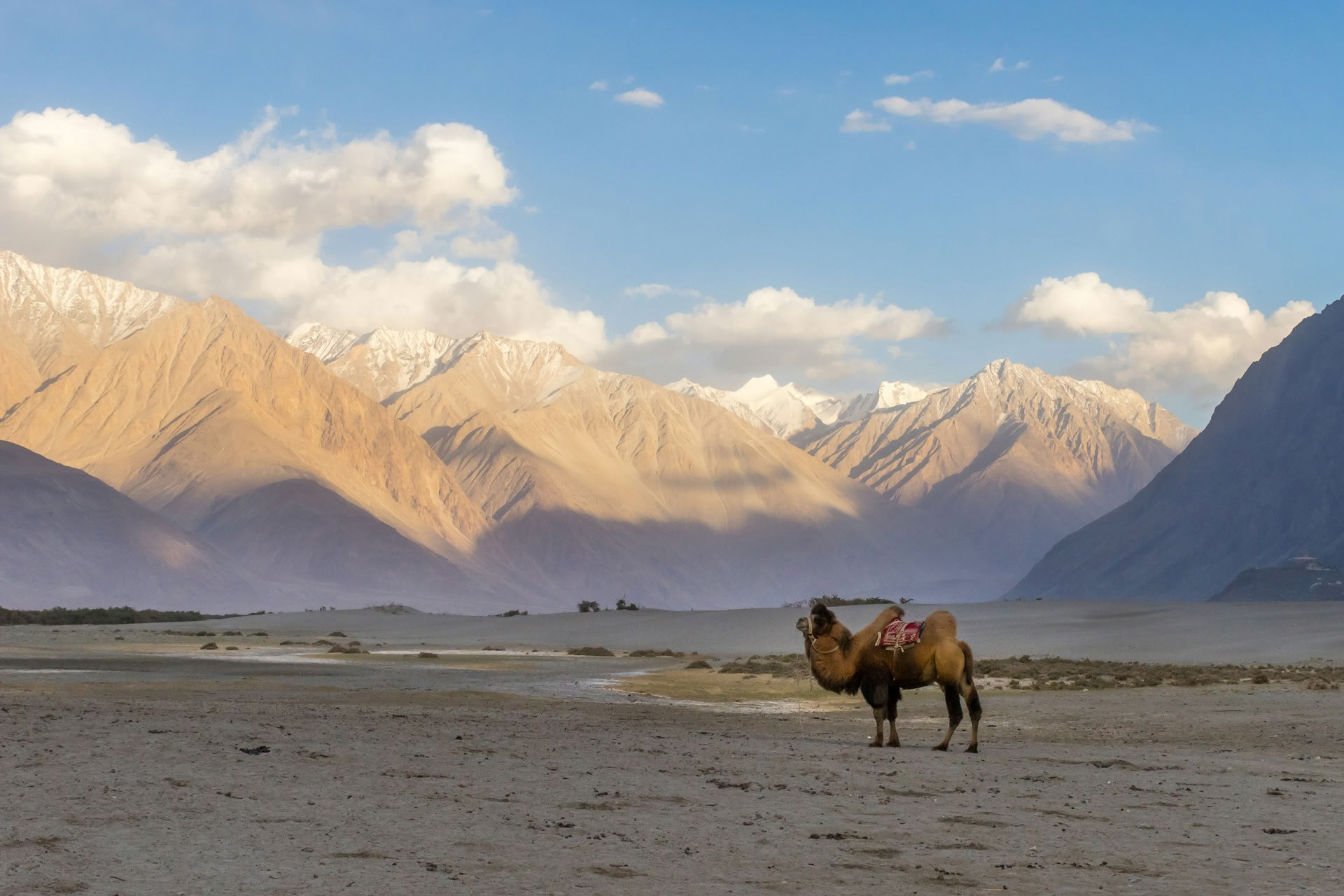 Ladakh – Ladakh exotique avec Turtuk