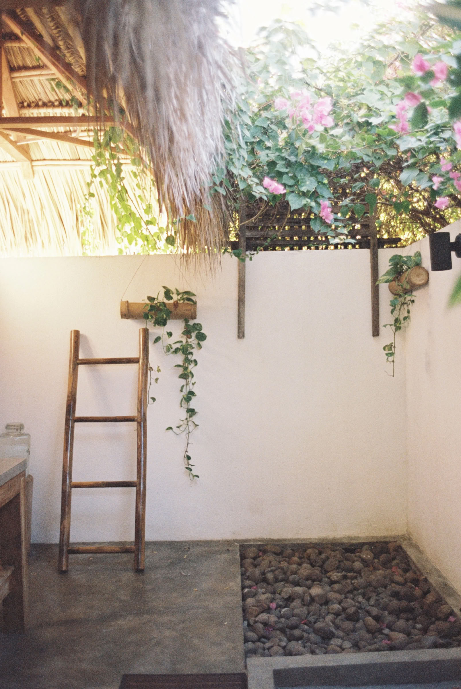Retraite de yoga Wild Nicaragua