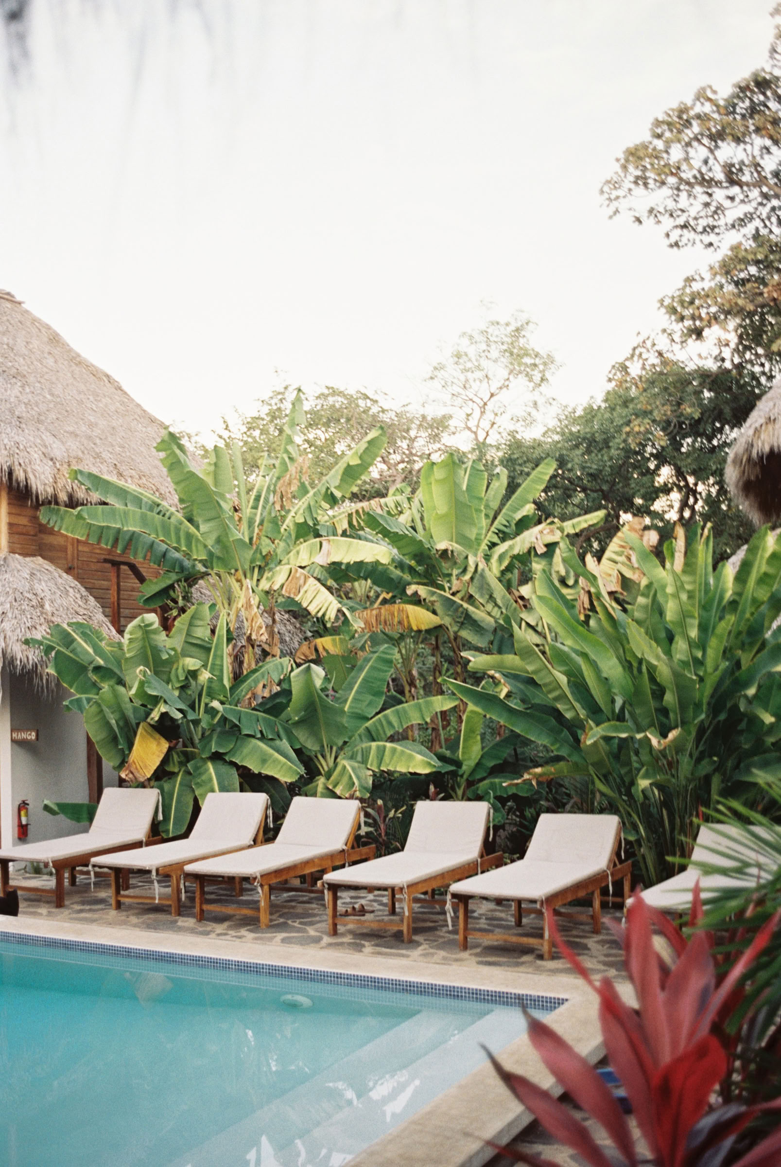 Retraite de yoga Wild Nicaragua