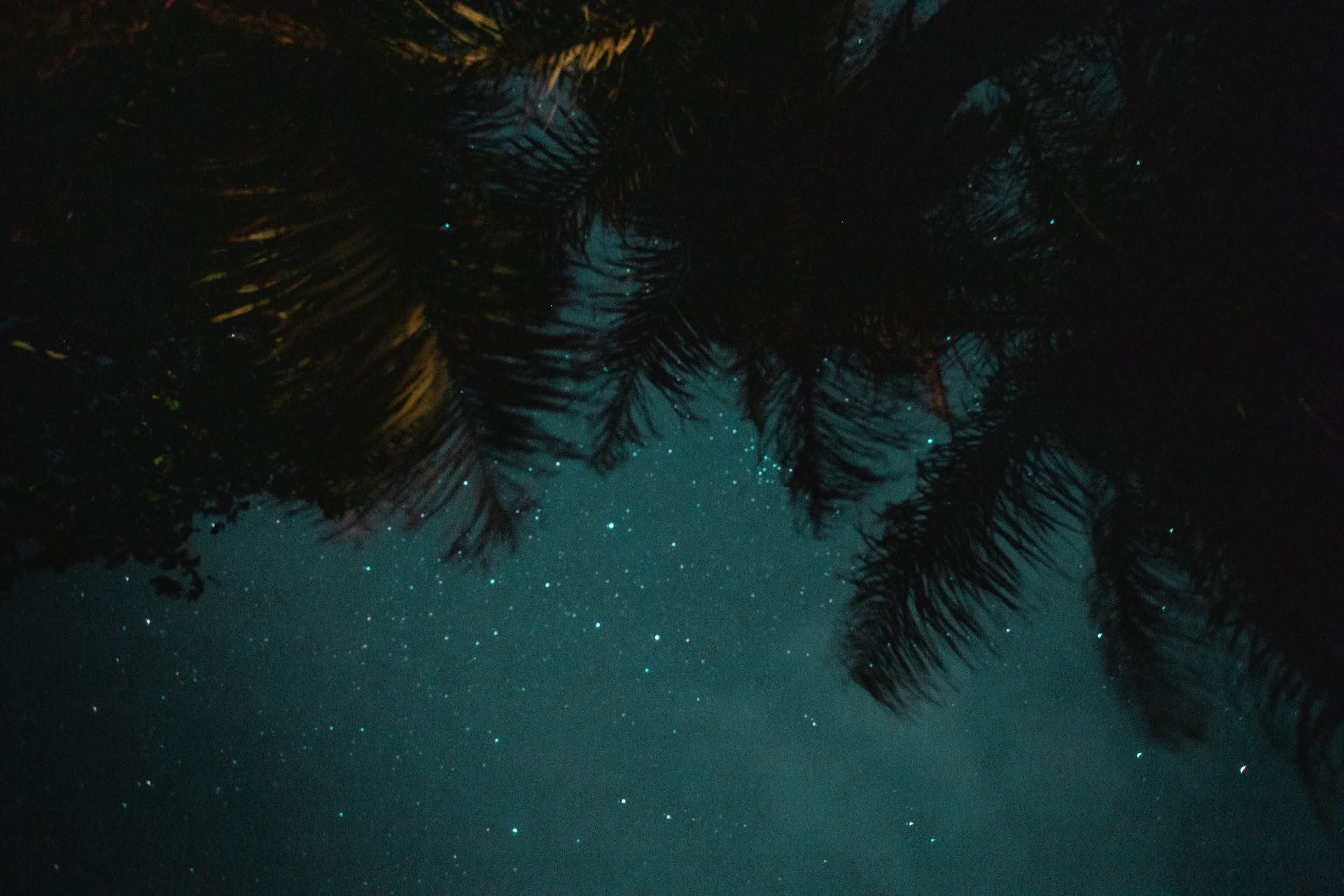 Retraite de yoga Wild Nicaragua