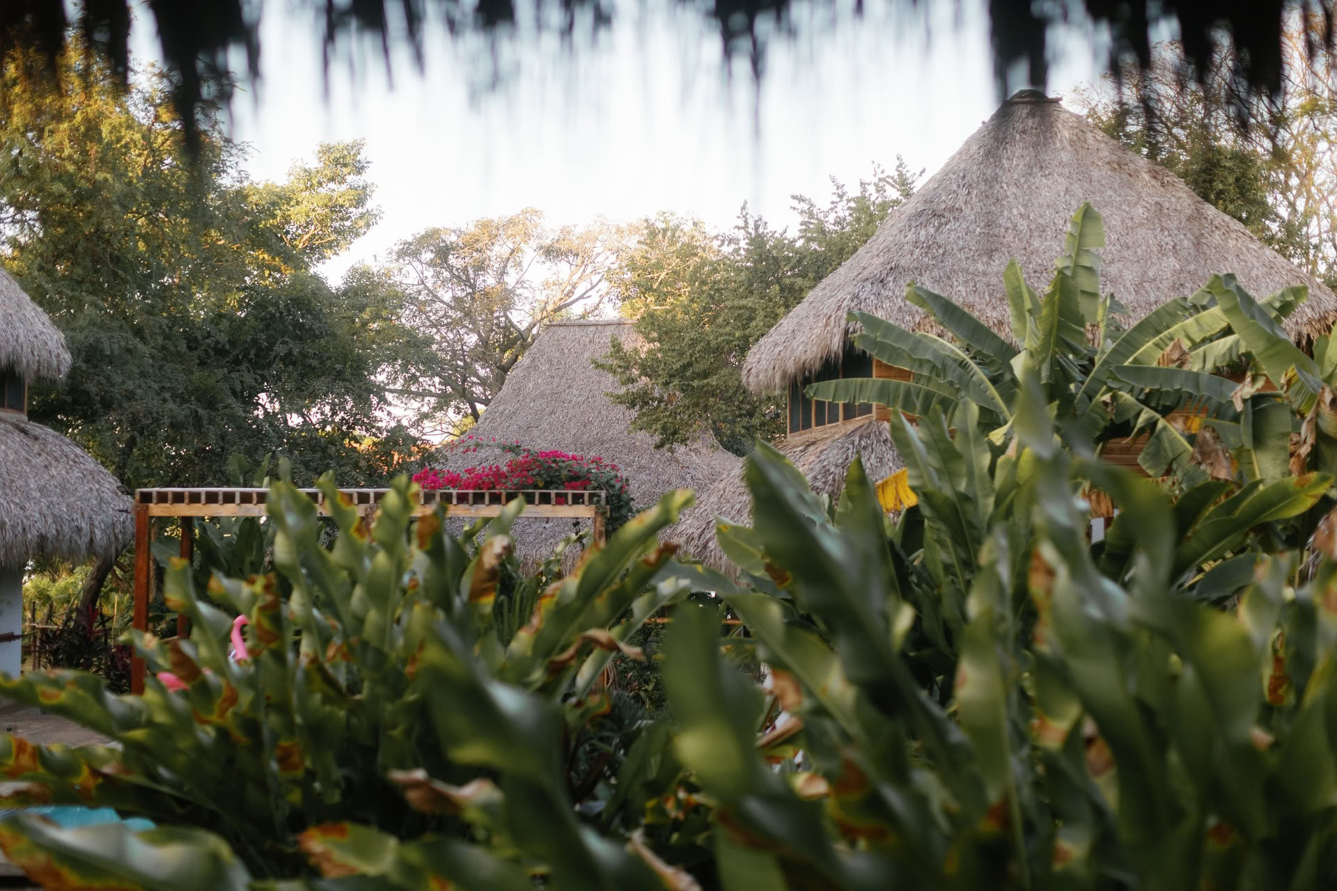 Retraite de yoga Wild Nicaragua