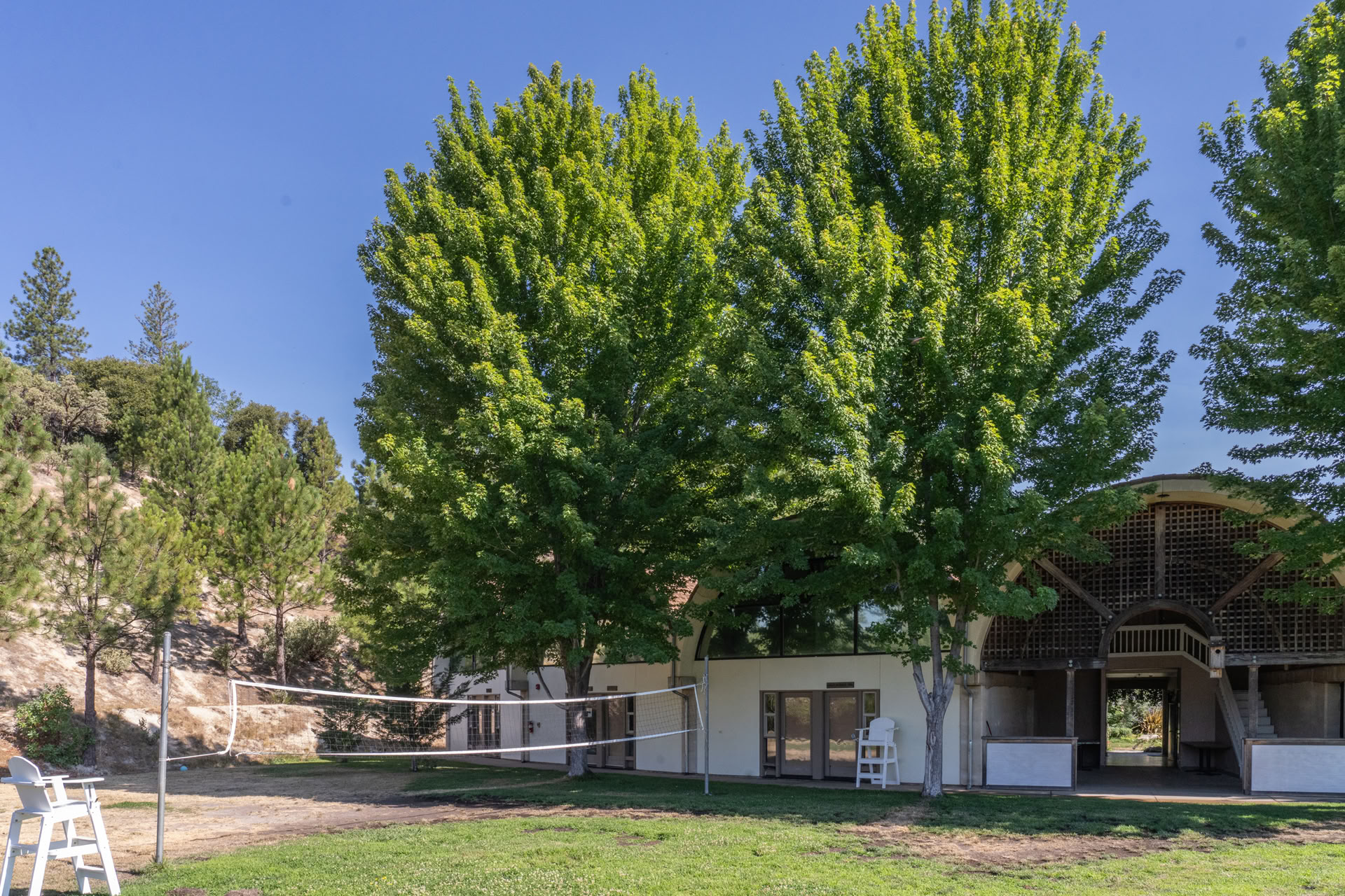 Poursuivre la mission de Paramhansa Yogananda