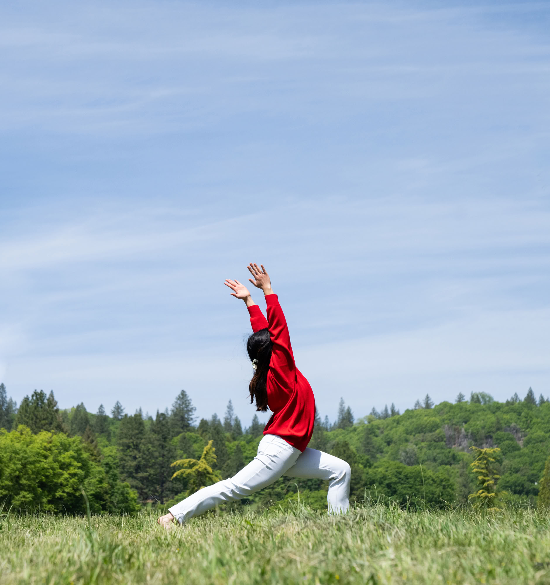 Fondements du Yoga Ananda