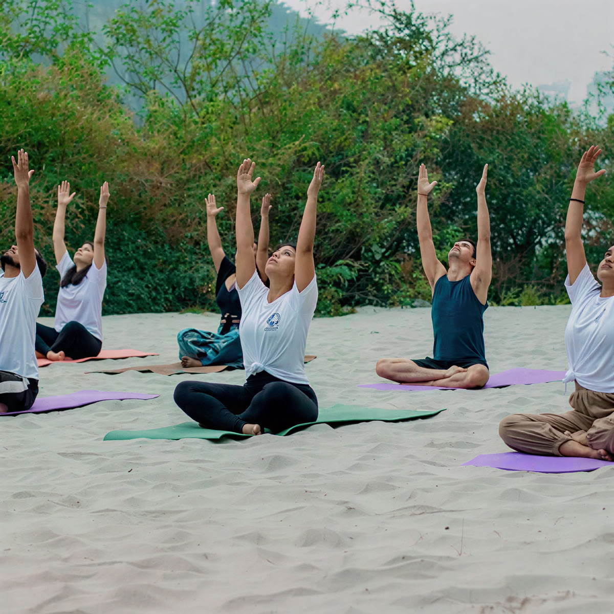 Programme de formation de professeur de yoga de 200 heures