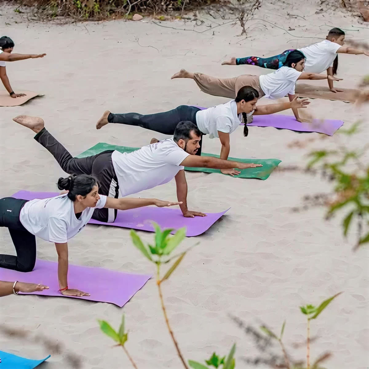 Programme de formation de professeur de yoga de 300 heures