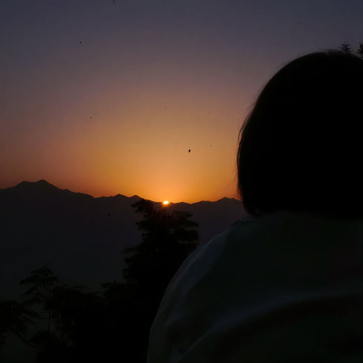 Formation de professeur de yoga de 100 heures à Rishikesh