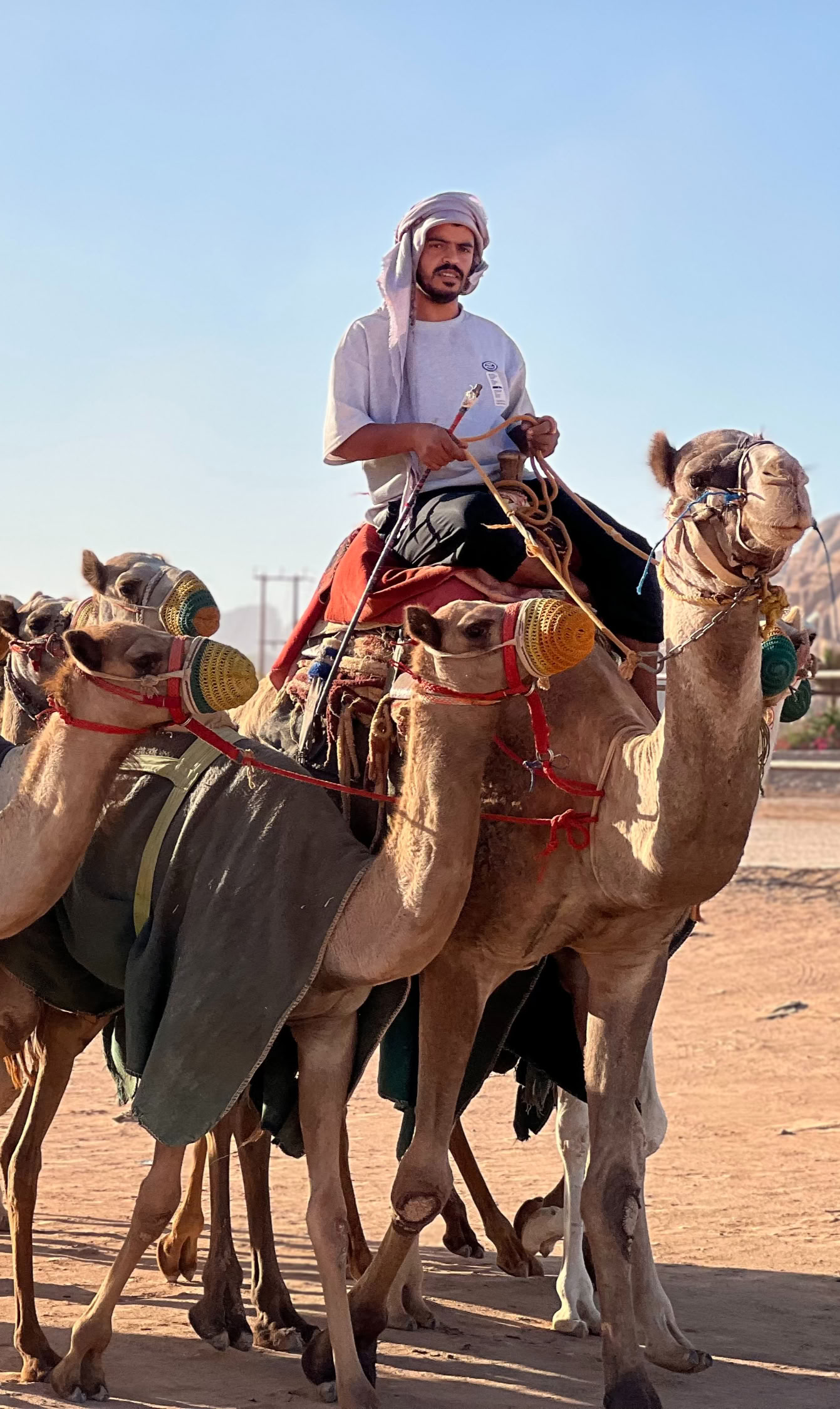 Tour vagabond de 5 jours en Jordanie
