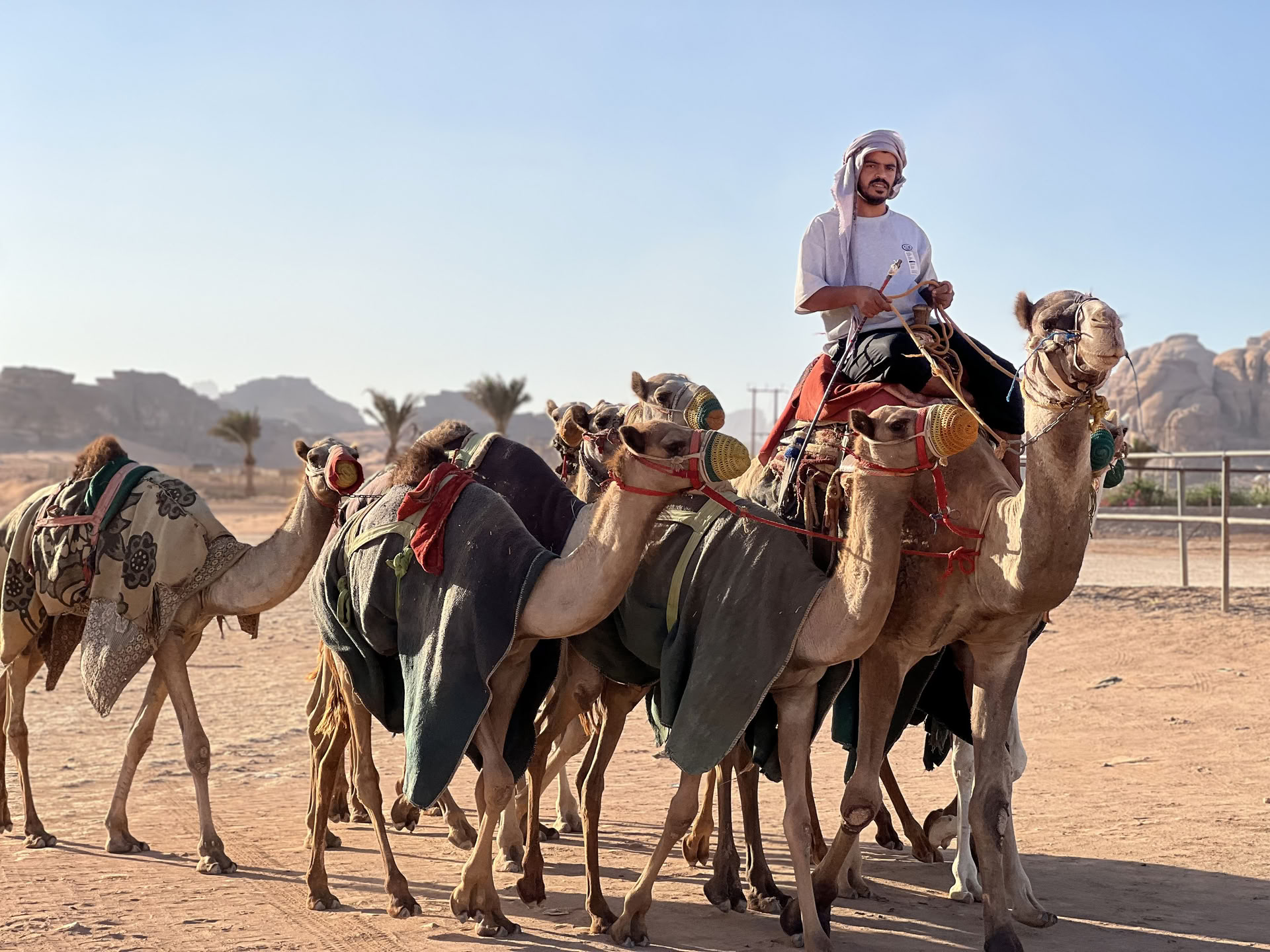 Aventure de trekking à dos de chameau de 4 jours avec les Bédouins à Wadi Rum, Jordanie