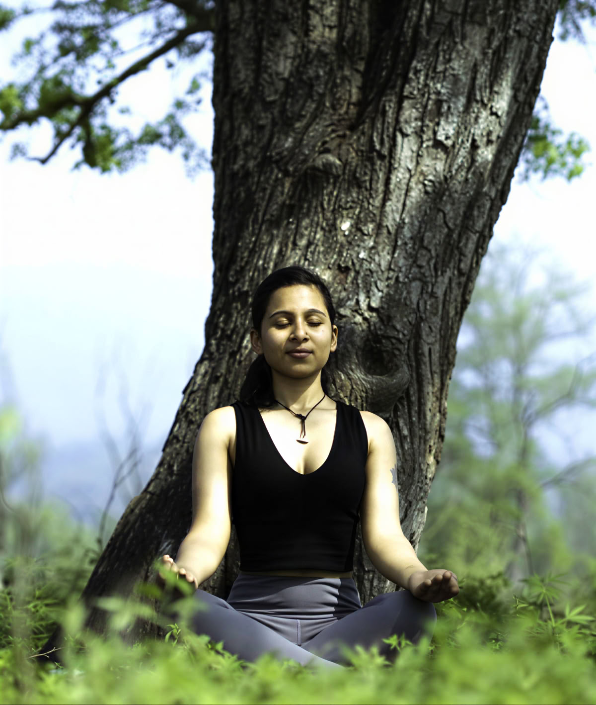 TTC de yoga traditionnel de 300 heures