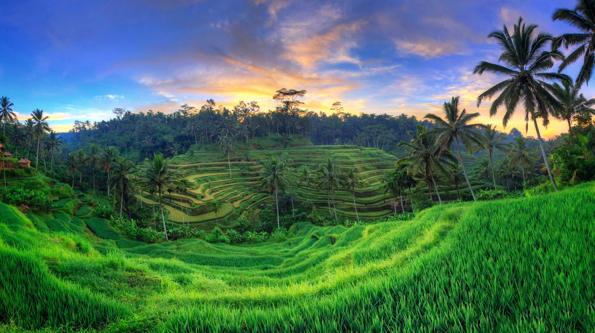 Retraite de yoga inoubliable de 7 jours à Firefly Retreat Bali