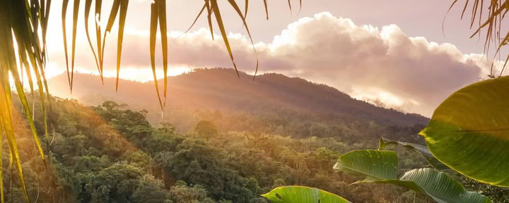 Corcovado 1 jour Tour