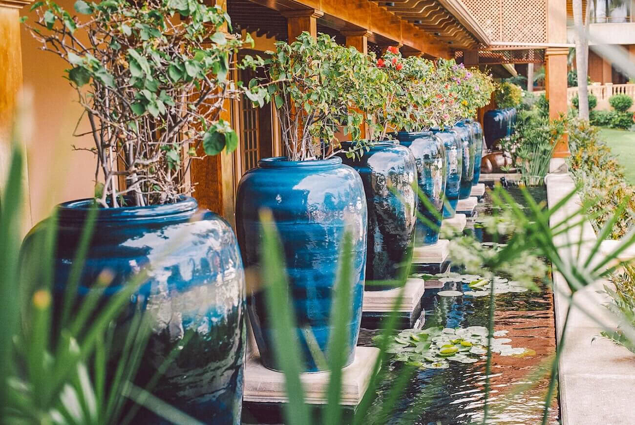Pause bien-être et relaxation de luxe dans le nord de Tenerife