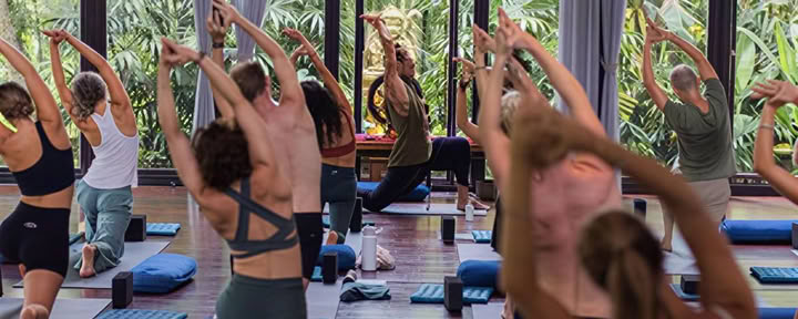Fascia Universe 125h Formation Avancée en Yoga & Somatics
