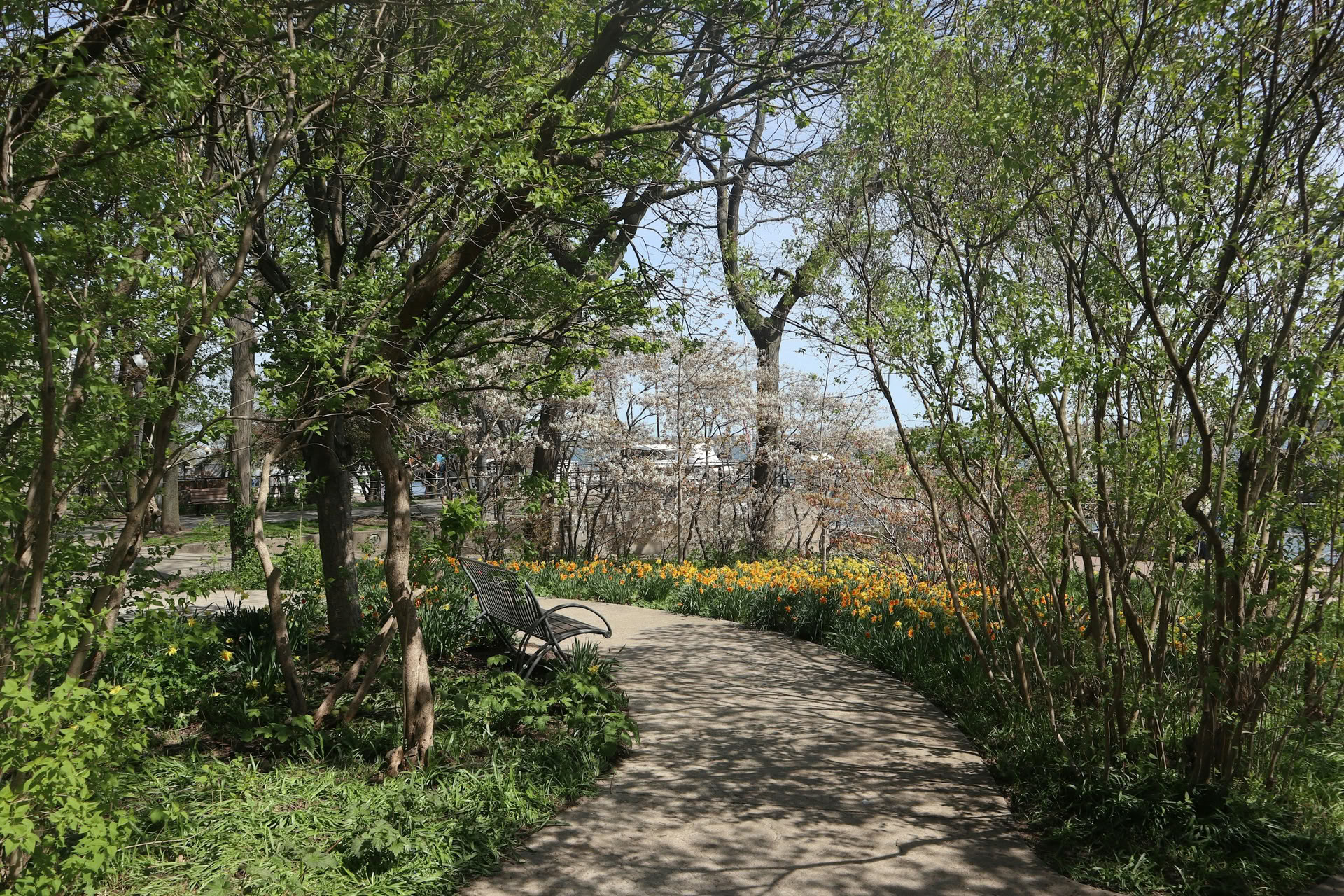 ForREST Retraite : Émerger en floraison
