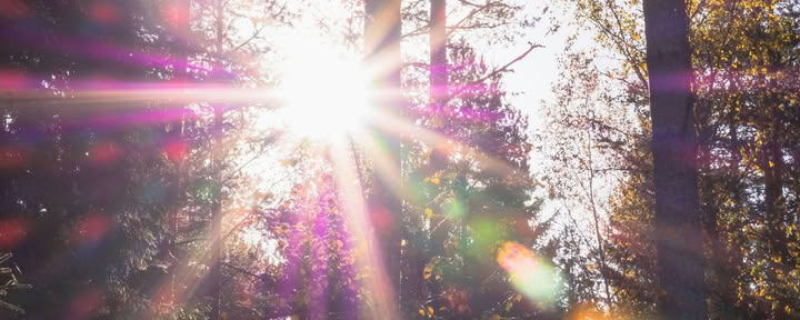 Sistertalk Retraites - LATE SUMMER GLOW: Retraite Élément Minéral/Nature — Wild Nature Retraits