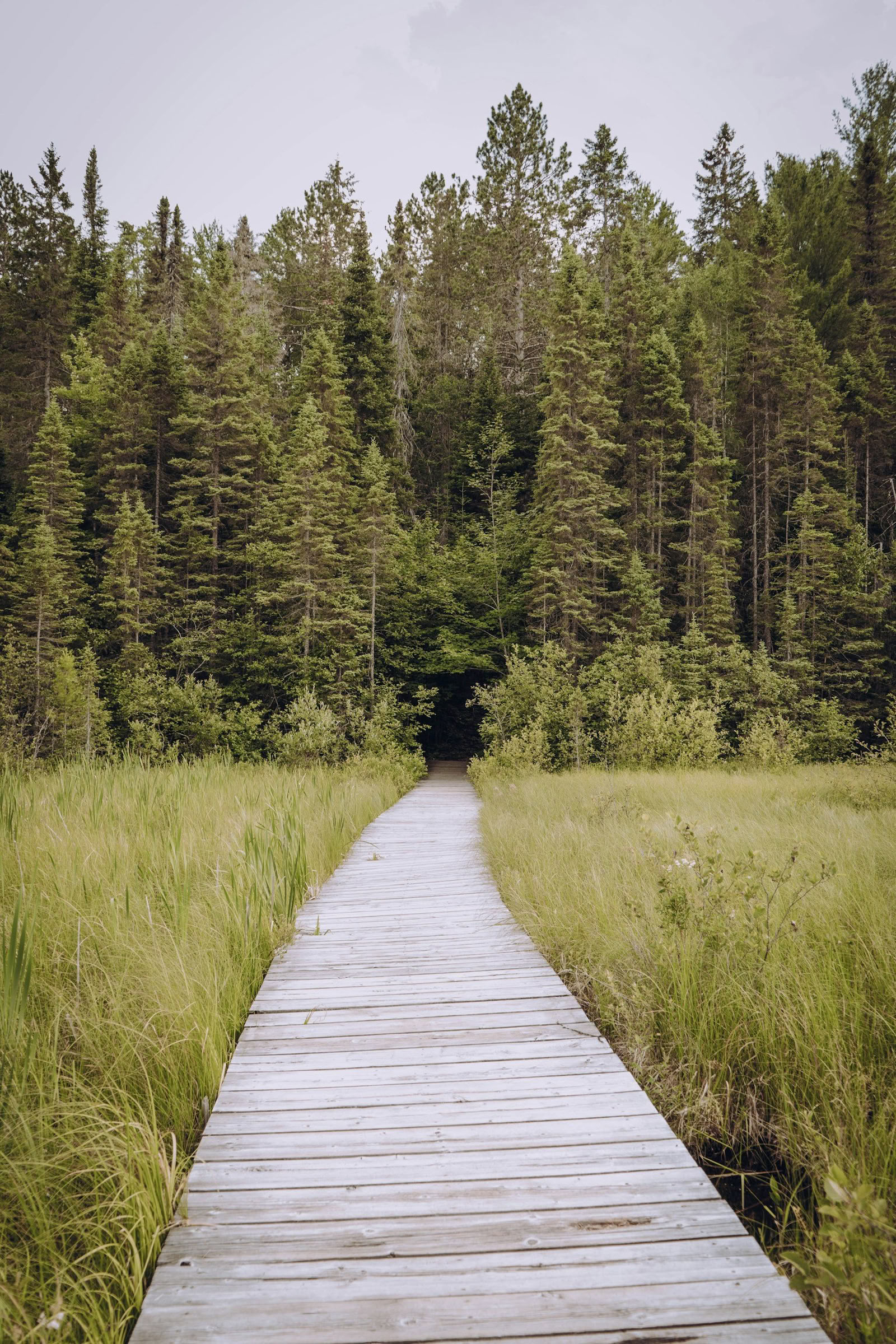 ForREST Retraite : Ralentissement estival — Retraites en pleine nature