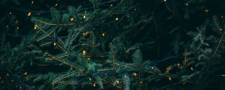 Retraite du Solstice d’Hiver - 19-20 décembre Organisée par Wild Nature avec Erin Moe — Wild Nature Retreats