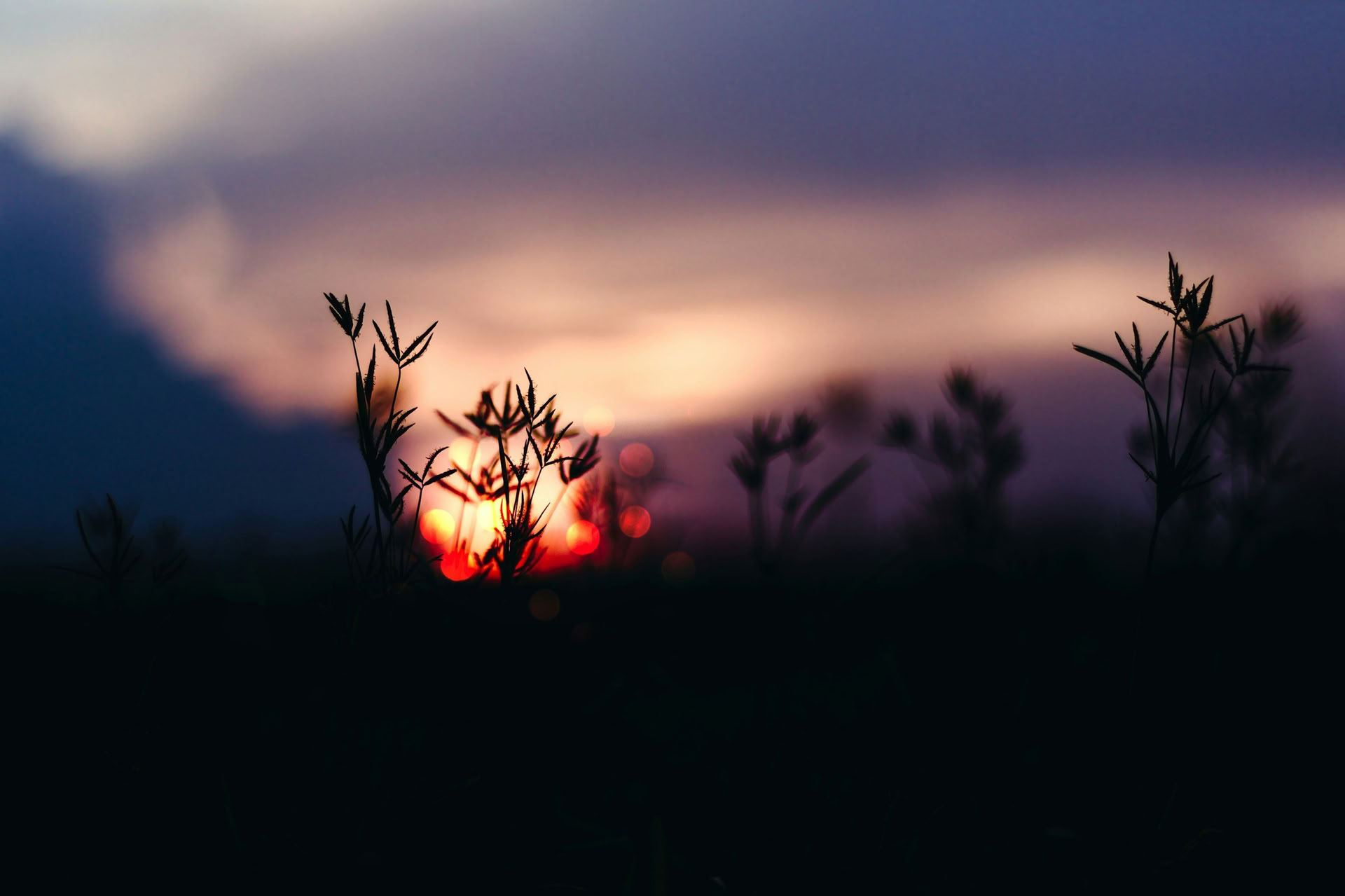 Solstice Retraite Series: Fall Equinox Celebration with Erin Moe — Wild Nature Retraits