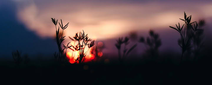 Solstice Retraite Series: Fall Equinox Celebration with Erin Moe — Wild Nature Retraits
