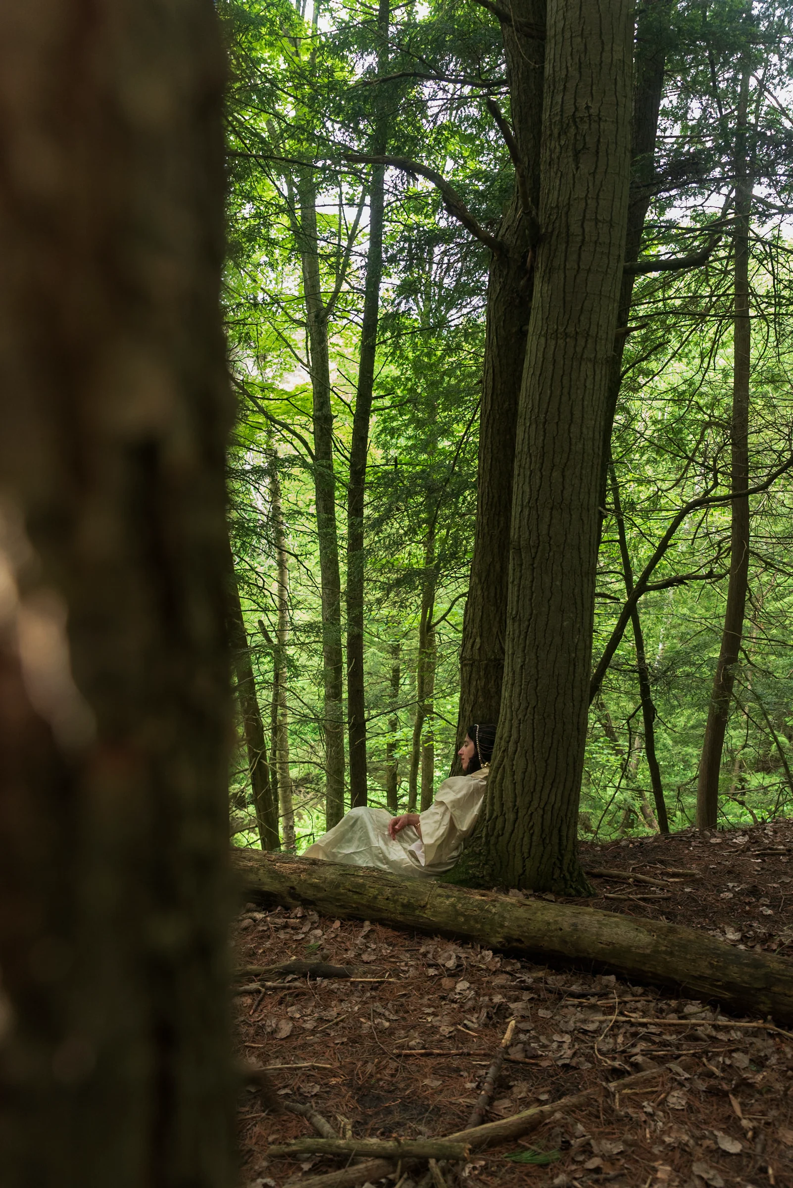 Solstice Retraite Series : Journée nationale des peuples autochtones - L’été commence avec Erin Moe — Wild Nature Retraits