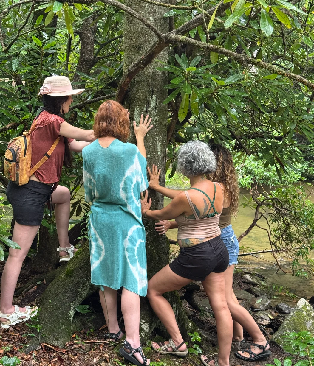 2026 RETRAITE DE RECONNECTE À LA NATURE POUR FEMMES