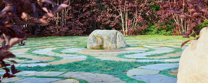 Red Thread : International Qigong Institute | True Nature - Carbondale, CO