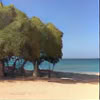 Groupe de yoga disponible