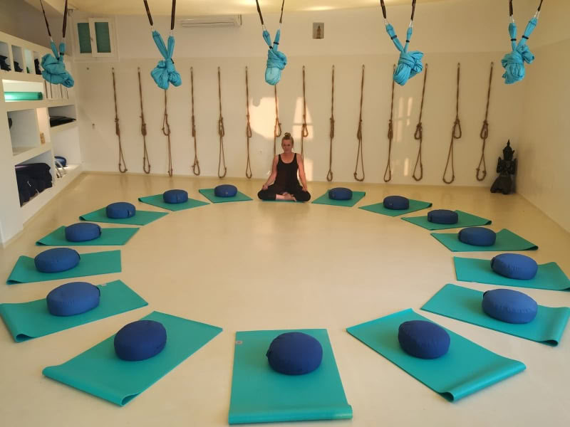 Iyengar Yoga avec Susan Holmes