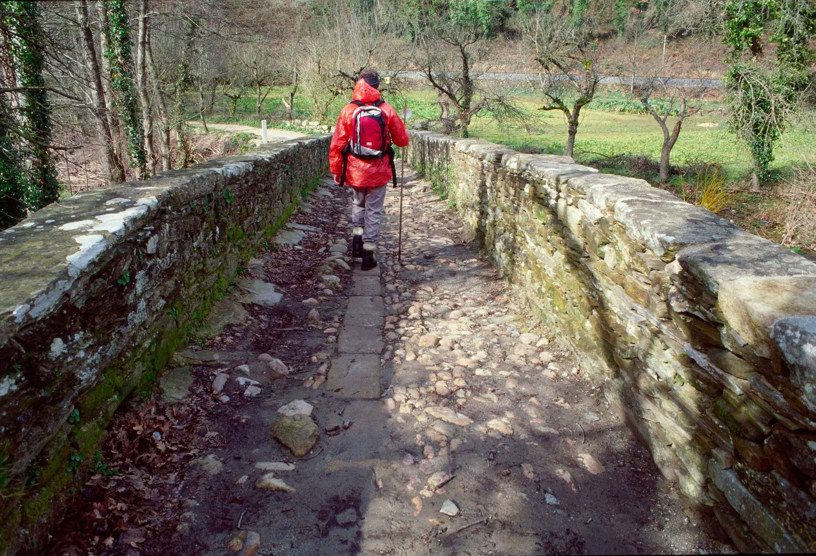 Camino Retraite 2026 (6 Jours)