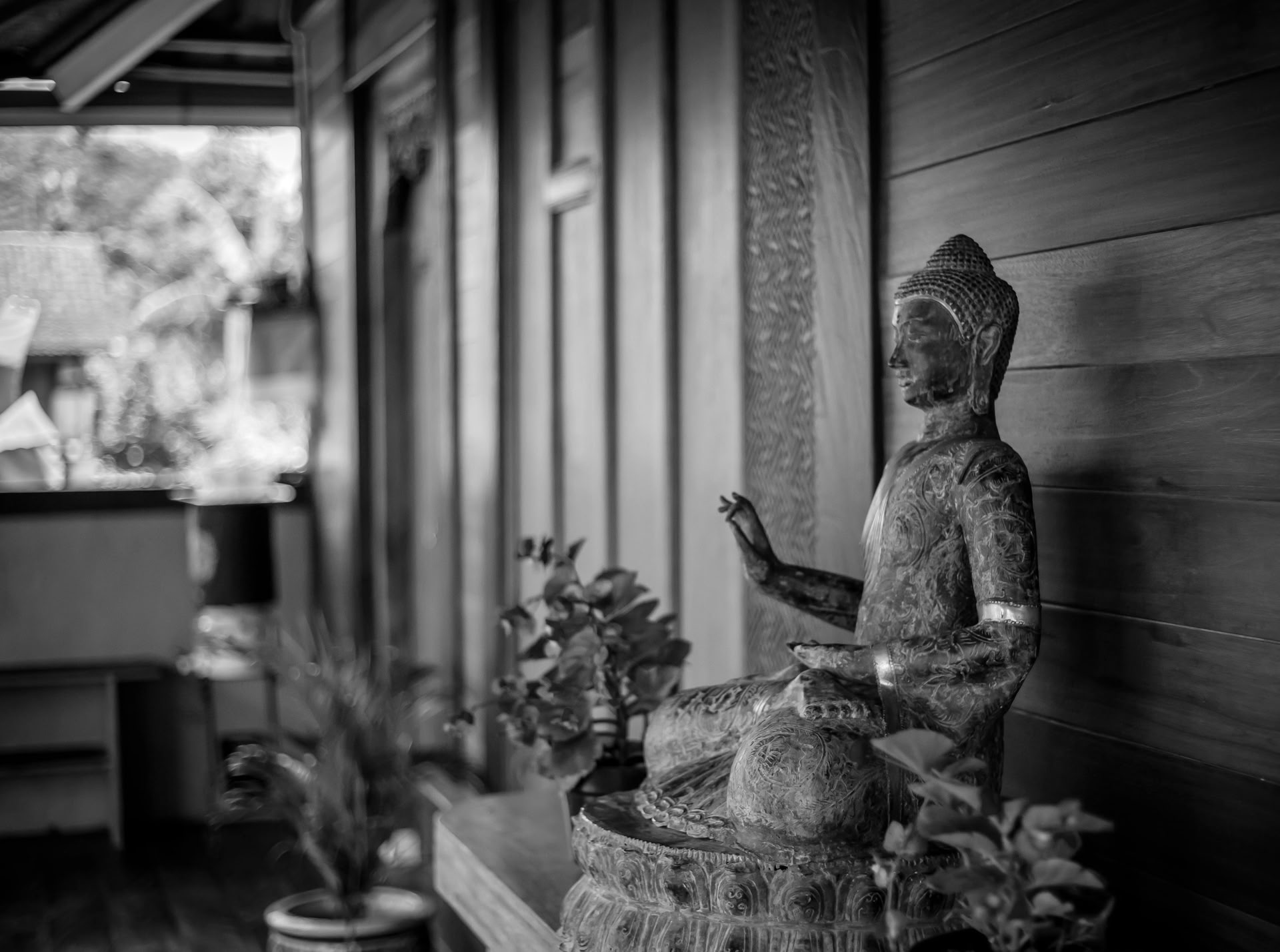 100hr Yoga de la Mort : Rencontrer les fins comme enseignantes du renouveau