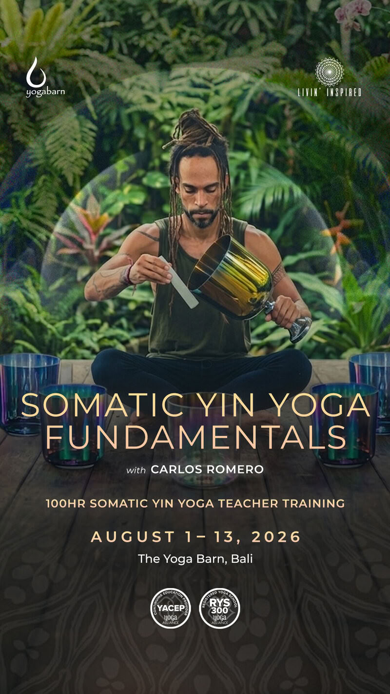 Fondamentaux du Yin Yoga Somatique 100 h YTT