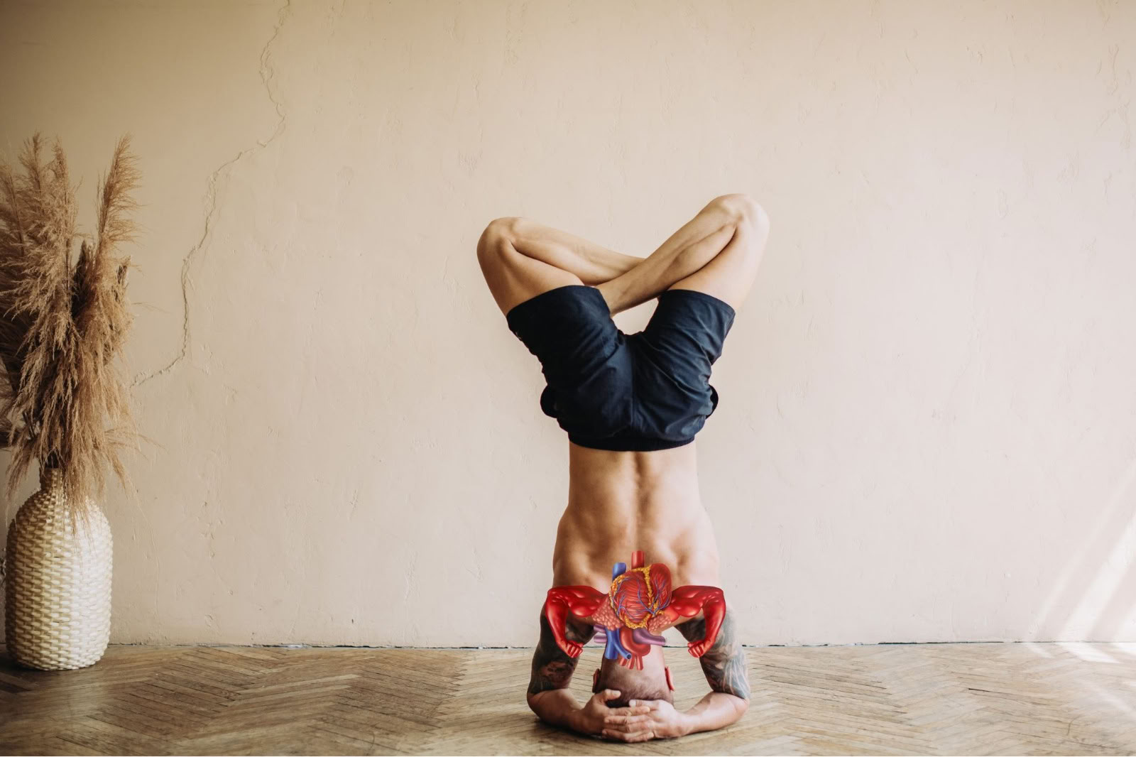 Yoga thérapie pour la santé respiratoire (Cardio-Breath Fusion)