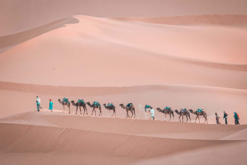 Tour de 5 jours dans le désert et retour à Marrakech depuis Marrakech