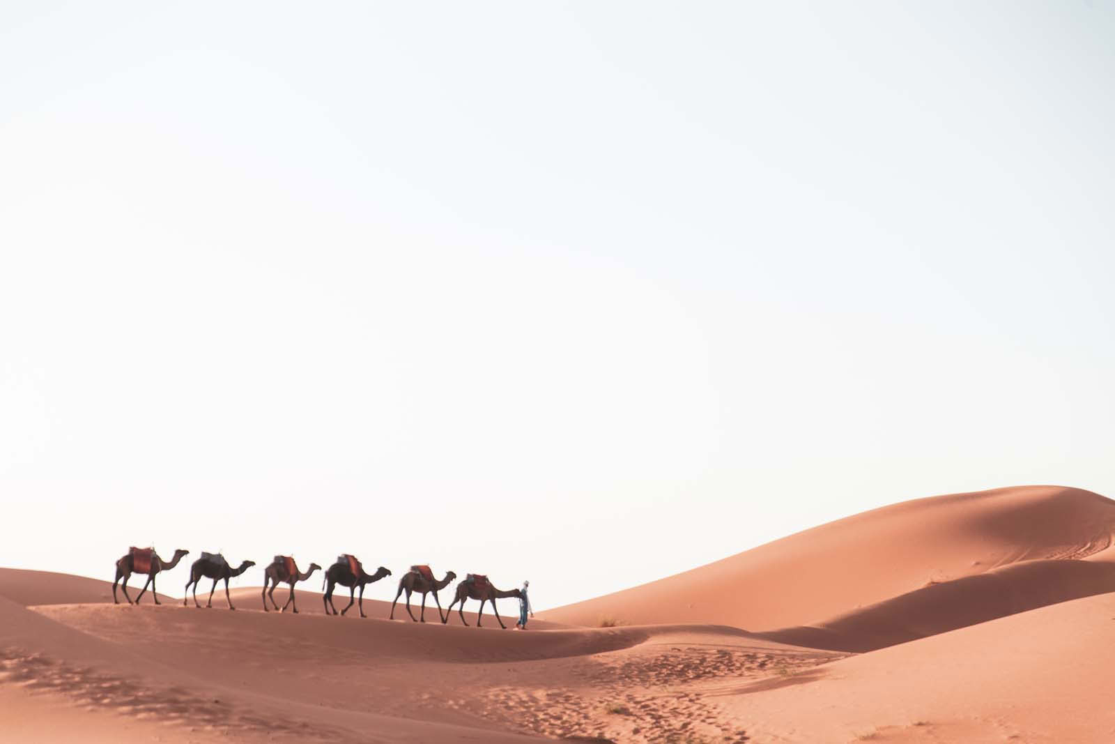 8 jours d'Agadir au désert du Sahara et Marrakech