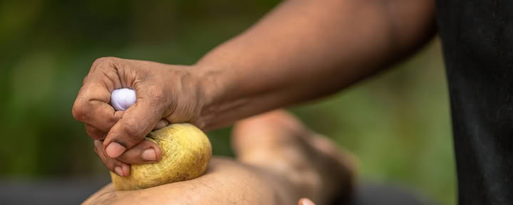 Cours de 10 jours : Formation pour devenir thérapeute ayurvédique, Sri Lanka