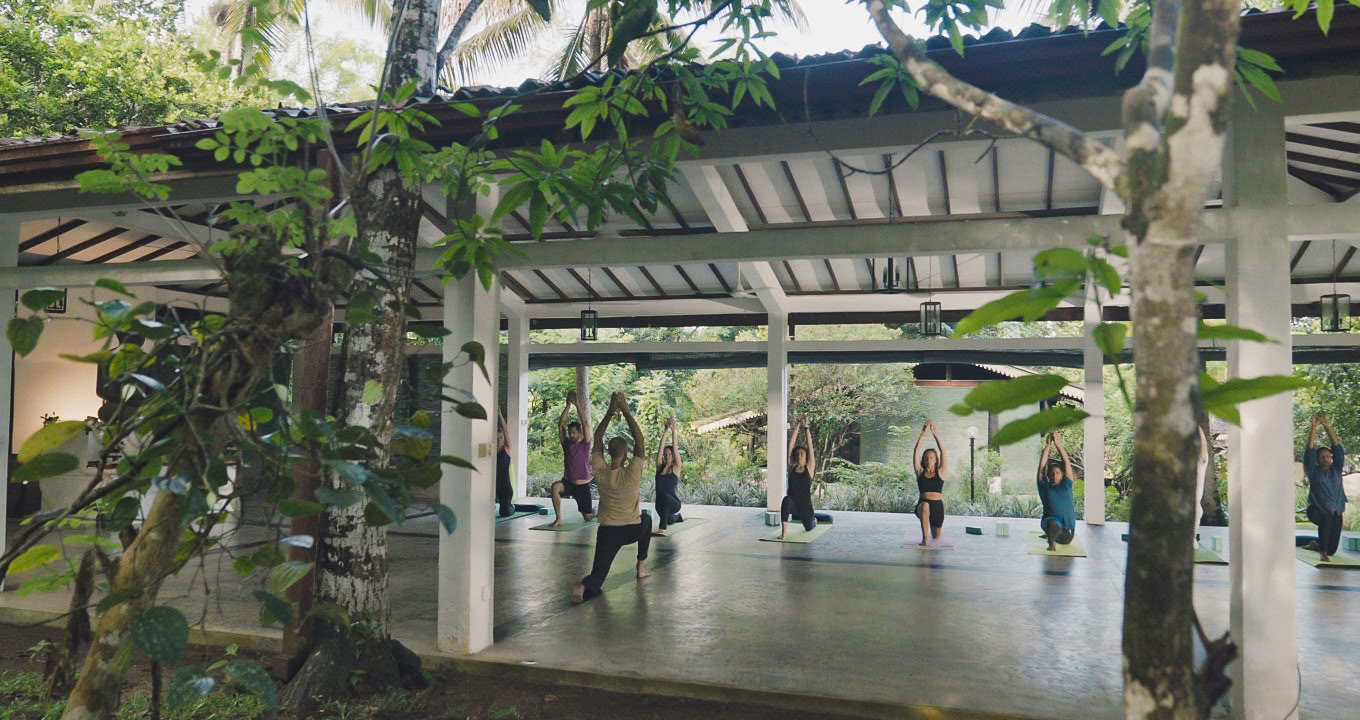 Formation de professeurs de yoga