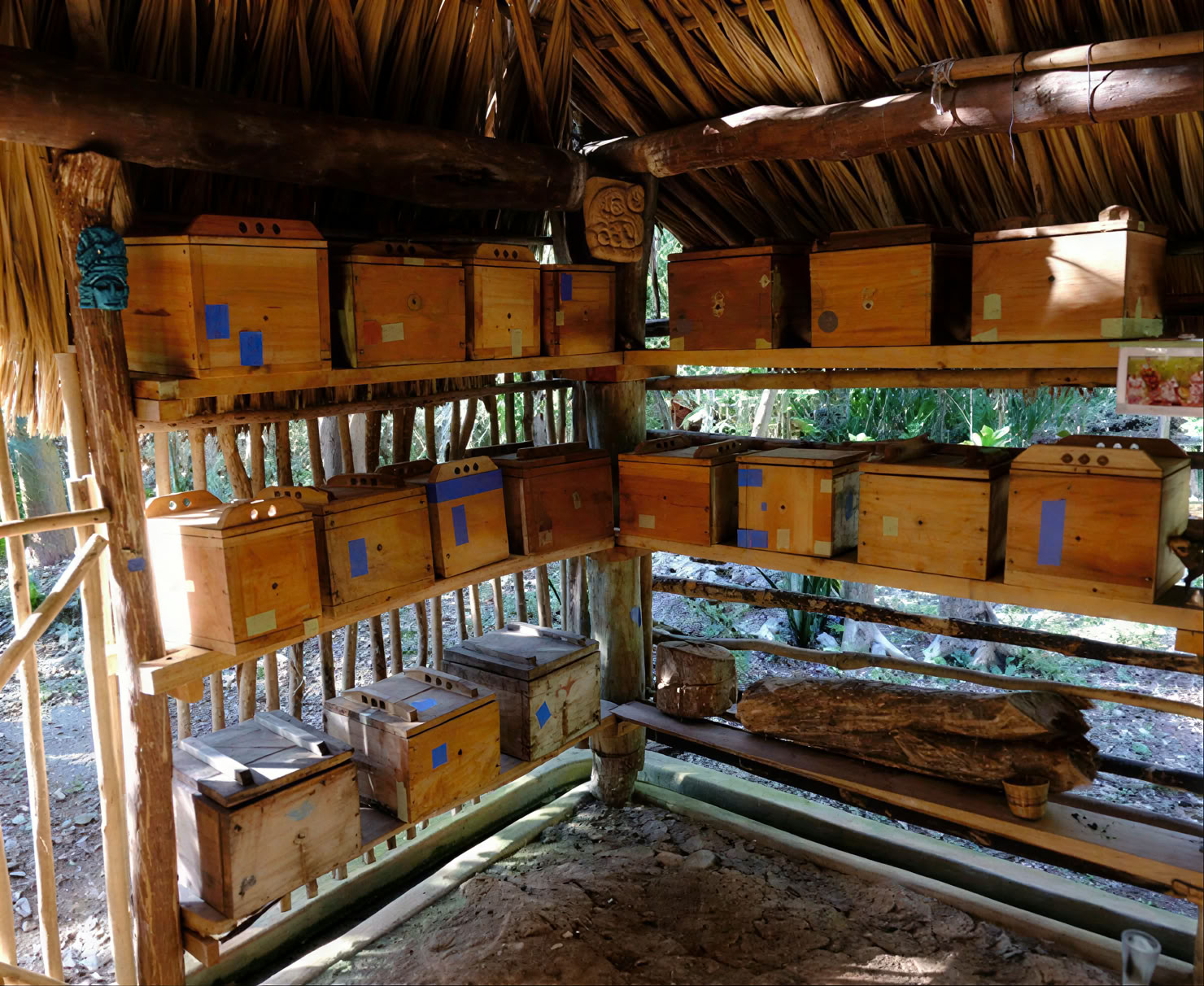 Coba et la Rencontre avec un Curandero Maya