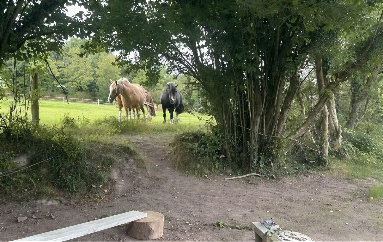 Connect with Heart Retraite with the Horses