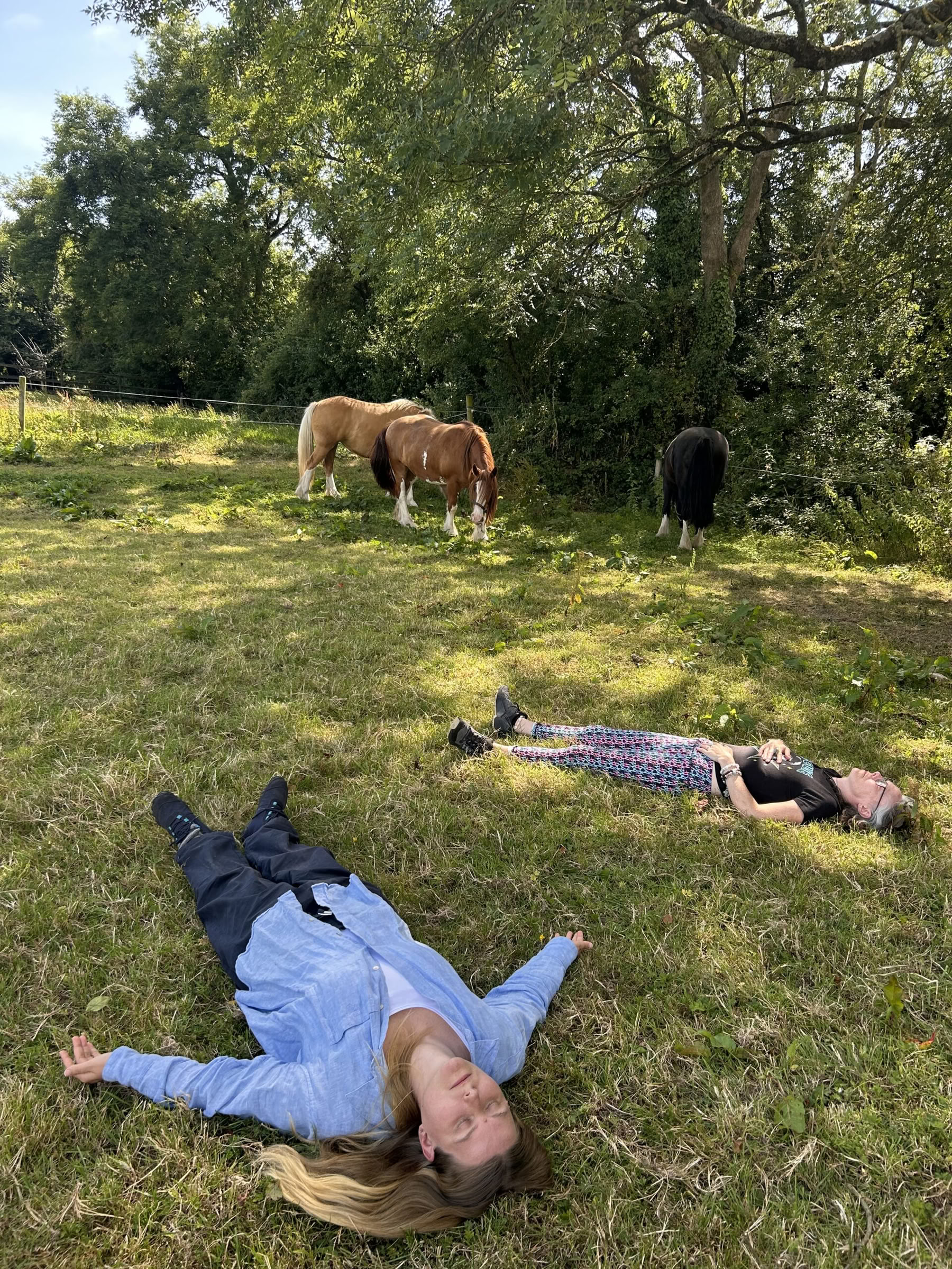 Connect with Heart Retraite with the Horses
