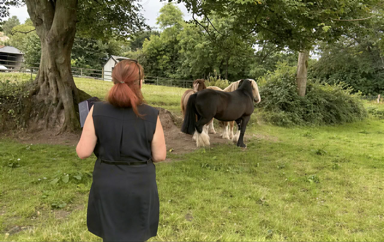 Connect with Heart Retraite with the Horses