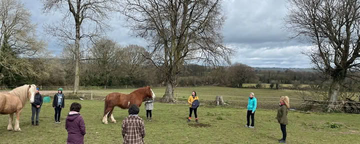 Retraite d'amour de soi avec les chevaux
