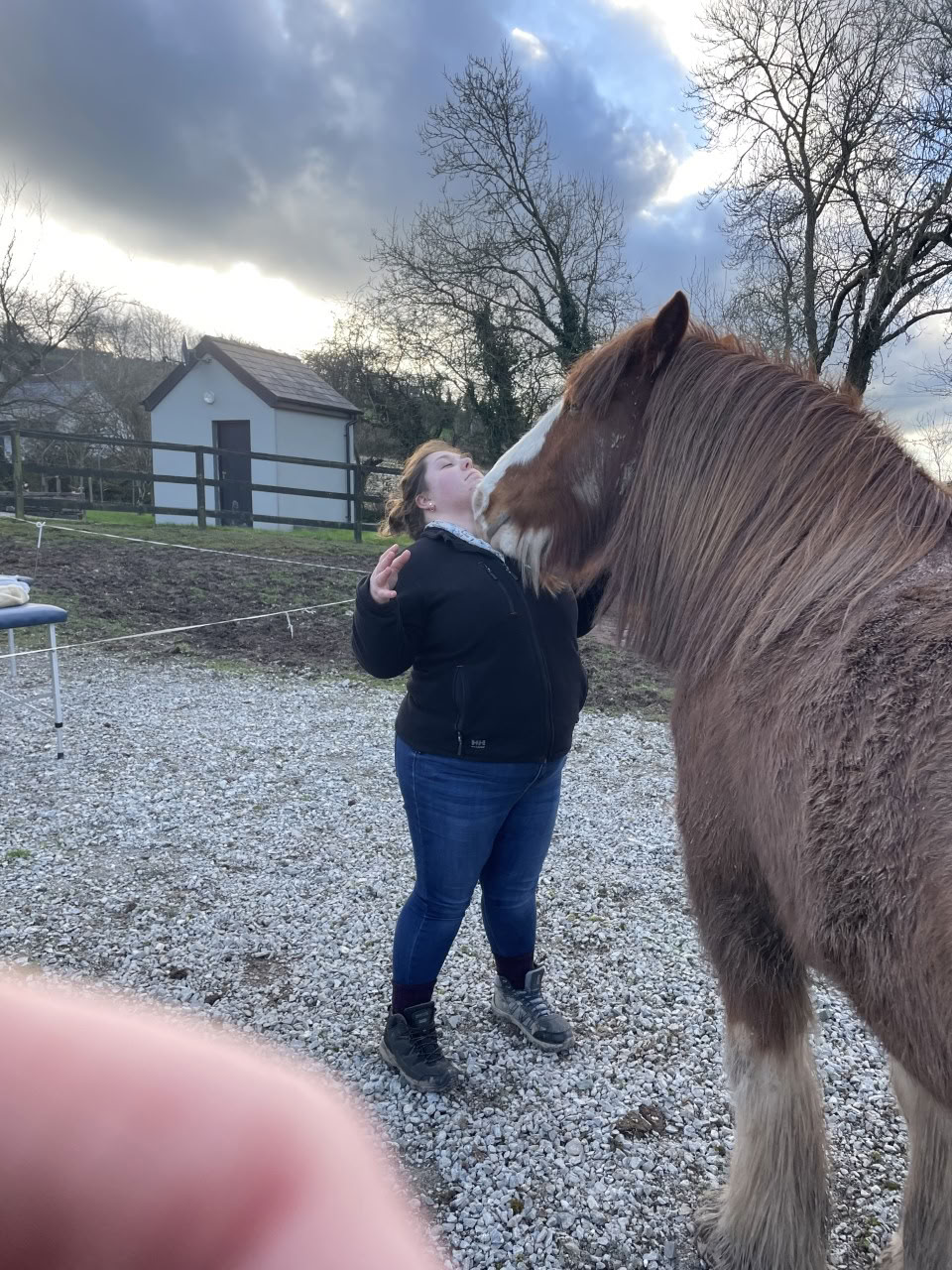 Enseignement du Reiki animal