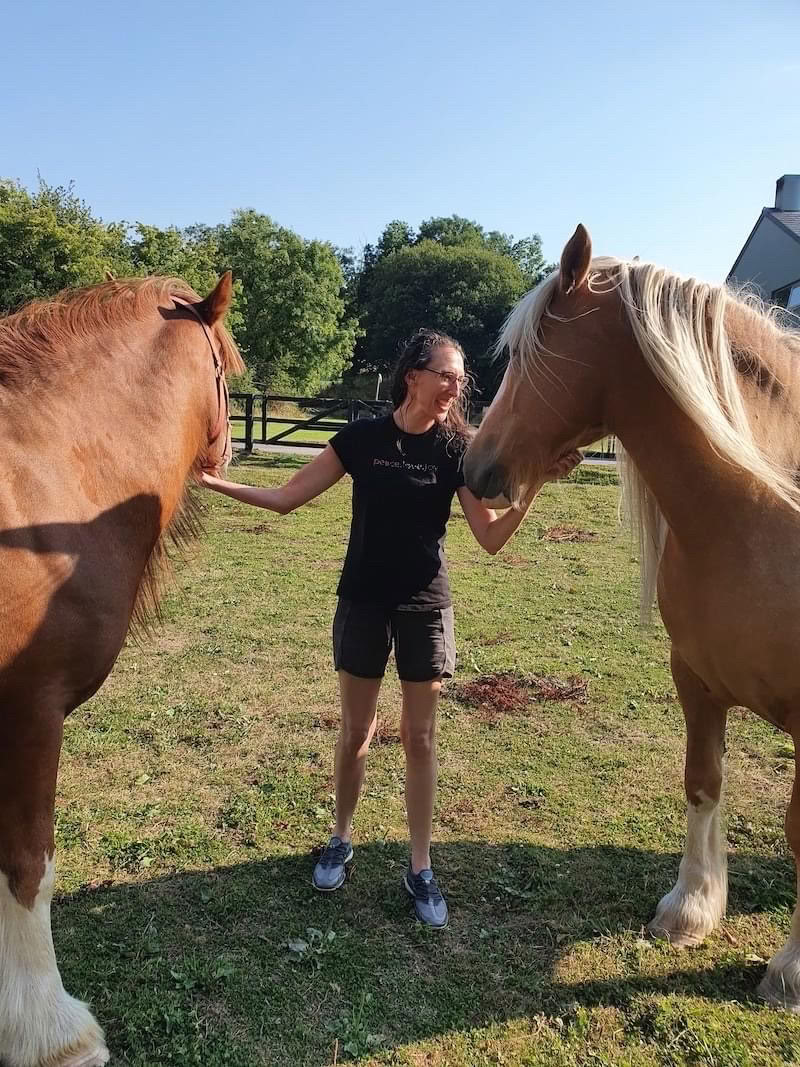 Enseignement du Reiki animal
