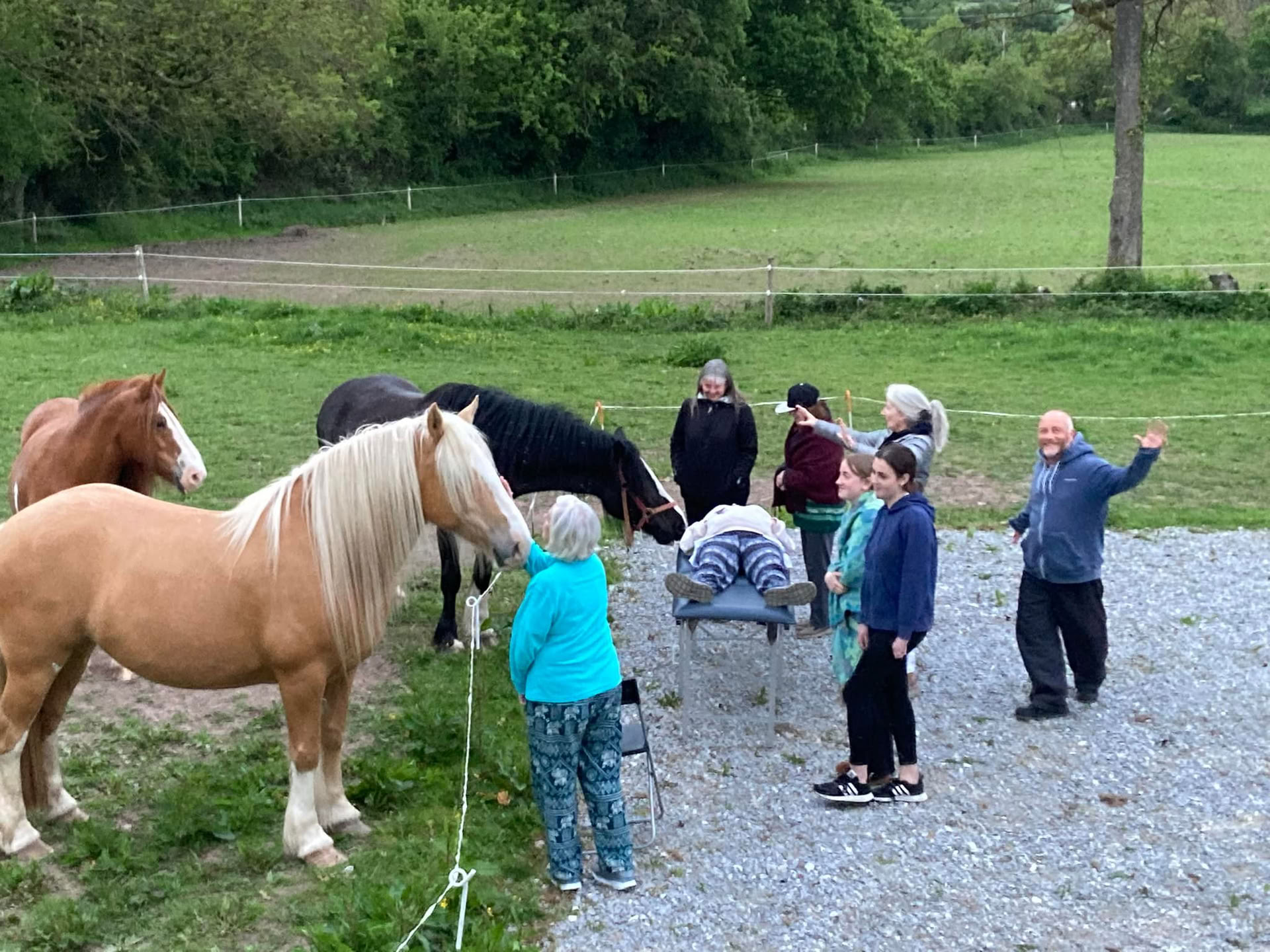 Enseignement du Reiki animal