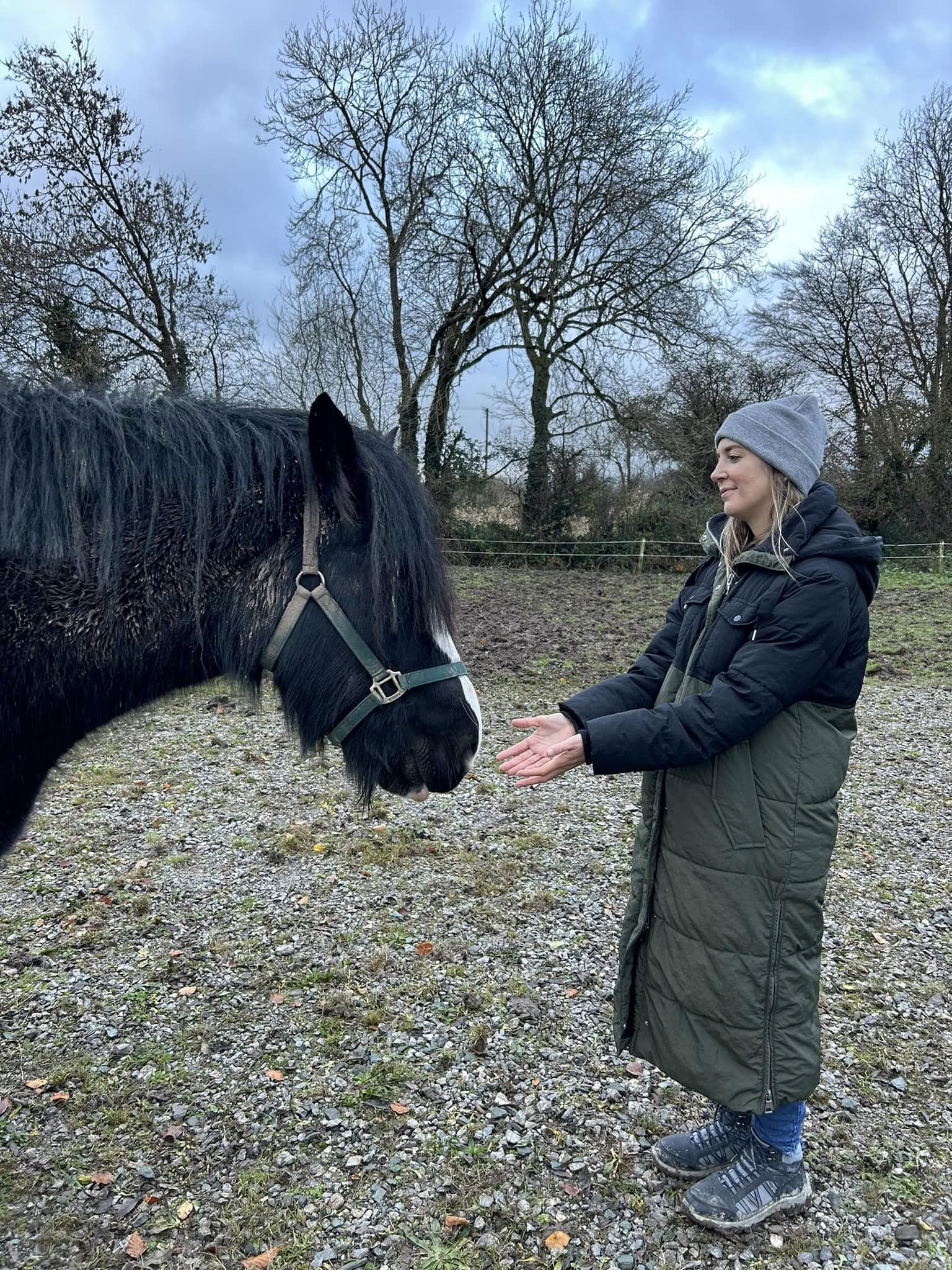Enseignement du Reiki animal