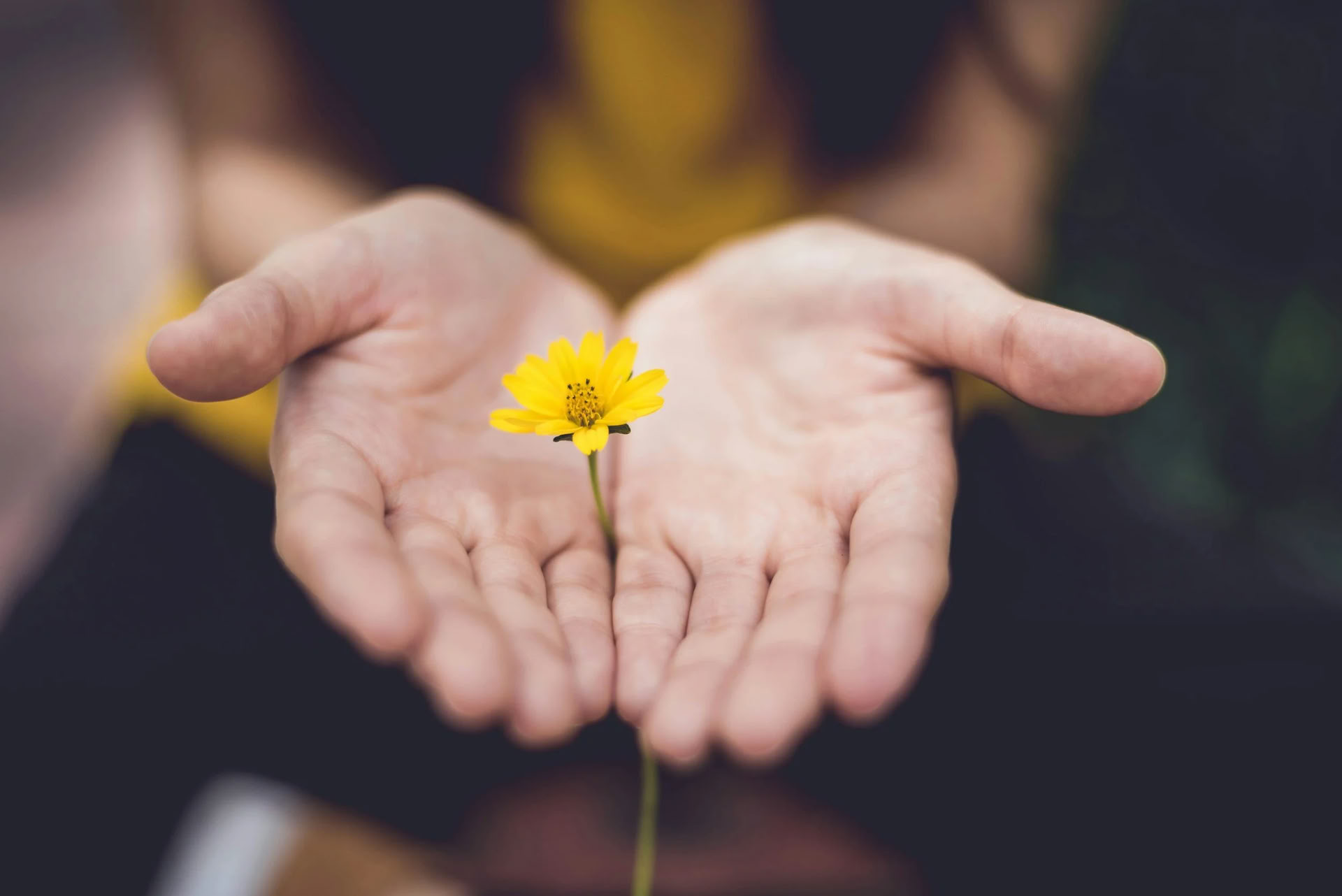 Harmonisez Votre Vie : Une retraite