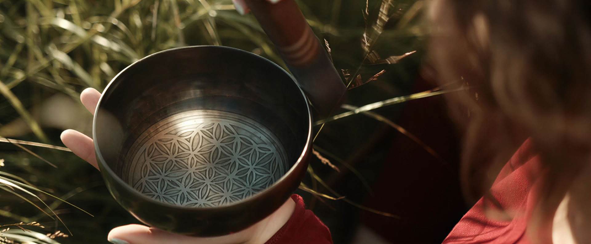 Son et lumière avec des lucioles